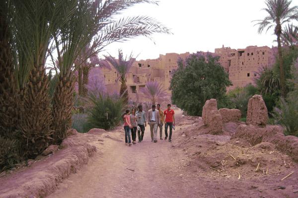 07_wfilm_desert_inspiration_2